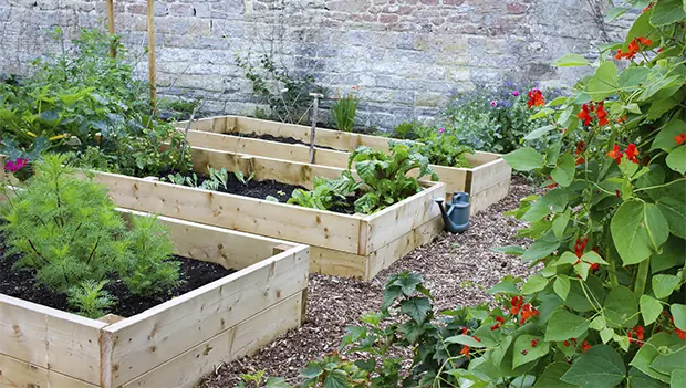 https://www.active.com/Assets/Nutrition/620/how-to-start-a-substainable-garden.jpg