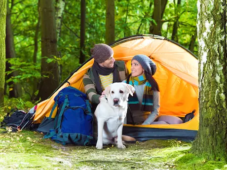 5 Tips for Camping With Dogs