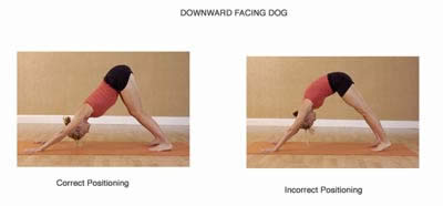 is downward dog bad for your back